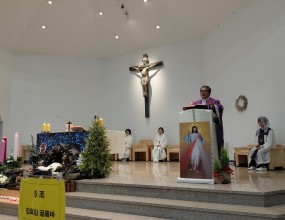 12월 20일 성경통독 미사 및 조별 렉시오디비나